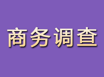 灵川商务调查